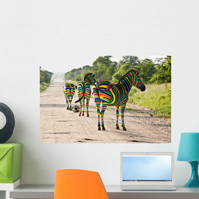 Zebra Football Wall Mural shown on a wall