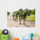 Zebra Football Wall Mural