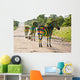 Zebra Football Wall Mural