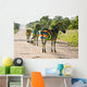Zebra Football Wall Mural