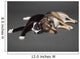 Portrait of a dog and cat laying together Wall Mural