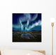 Aurora Borealis Wall Mural