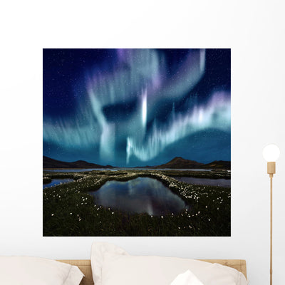 Aurora Borealis Wall Mural shown on a wall