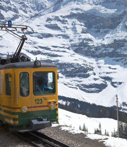 Swiss Alps (Jungfraujoch with its tiny cog train). Wall Mural