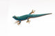 Lygodactylus Williamsi 02