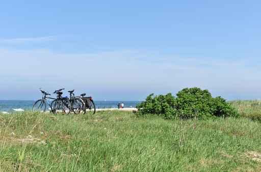 Bike Holyday Wall Decal