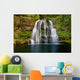 Waterfall Nature Shoot with Wall Mural