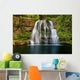 Waterfall Nature Shoot with Wall Mural