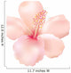 Softy hibiscus. Vector. Wall Decal