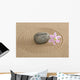 Zen Garden Sand