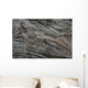 Baumrinde Wall Mural