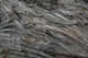 Baumrinde Wall Mural