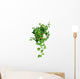 Green Ivy Pot