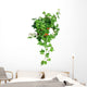 Green Ivy Pot