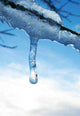 Glace Wall Decal