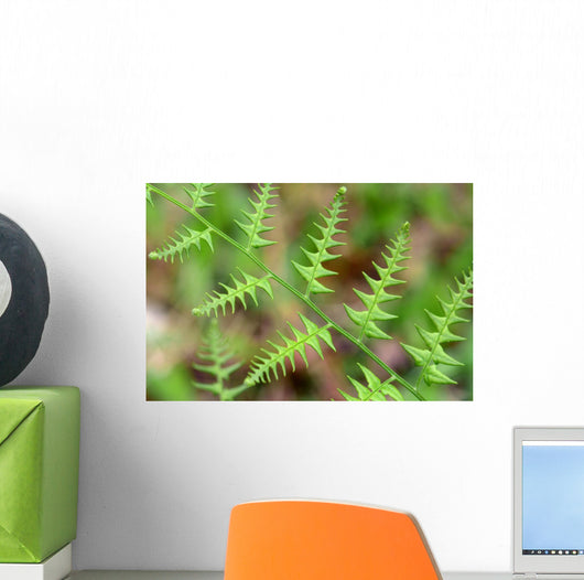 Close-up Unfurling Fern Fronds Wall Mural