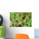 Close-up Unfurling Fern Fronds Wall Mural