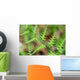 Close-up Unfurling Fern Fronds Wall Mural