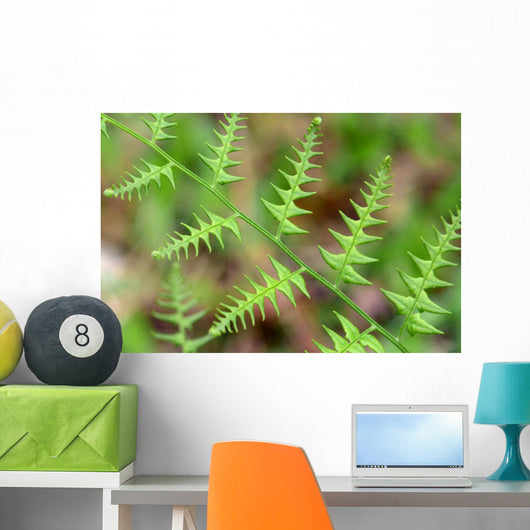 Close-up Unfurling Fern Fronds Wall Mural