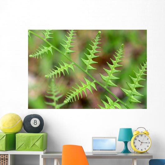 Close-up Unfurling Fern Fronds Wall Mural