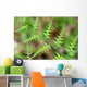 Close-up Unfurling Fern Fronds Wall Mural