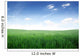 Grass field Wall Mural
