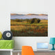 Mist At Sunrise Wall Mural