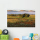 Mist At Sunrise Wall Mural