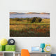 Mist At Sunrise Wall Mural
