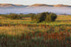 Mist At Sunrise Wall Mural