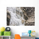 Close-Up Of Shannon Falls;British Columbia Canada Wall Mural