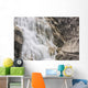 Close-Up Of Shannon Falls;British Columbia Canada Wall Mural