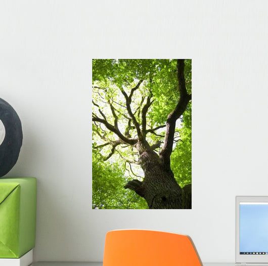 Green Tree Conceptual Image Wall Decal