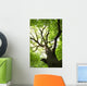 Green Tree Conceptual Image Wall Decal