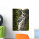 Scenic Of Shannon Falls;British Columbia Canada Wall Mural