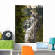 Scenic Of Shannon Falls;British Columbia Canada Wall Mural