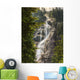 Scenic Of Shannon Falls;British Columbia Canada Wall Mural