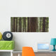 Forest Wall Mural
