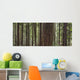 Forest Wall Mural