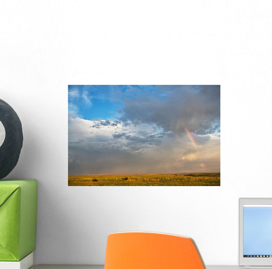 Bison Under A Passing Storm Over The Prairies Wall Mural
