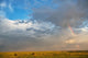 Bison Under A Passing Storm Over The Prairies Wall Mural
