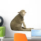Merino lamb Wall Decal