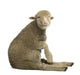 Merino lamb Wall Decal