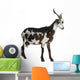 Female Rove Goat 3 Wall Decal