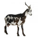 Female Rove Goat 3 Wall Decal