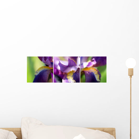 Collage Lily Purple Wall Mural