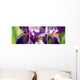 Collage Lily Purple Wall Mural