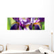 Collage Lily Purple Wall Mural