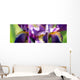Collage Lily Purple Wall Mural