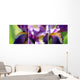 Collage Lily Purple Wall Mural